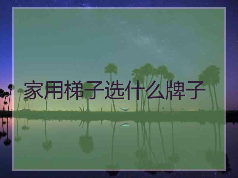 家用梯子选什么牌子