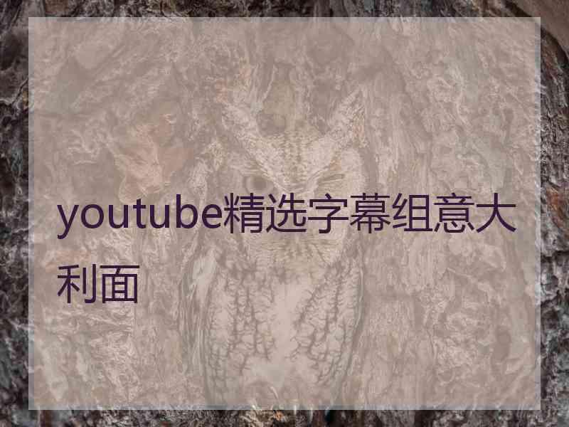youtube精选字幕组意大利面