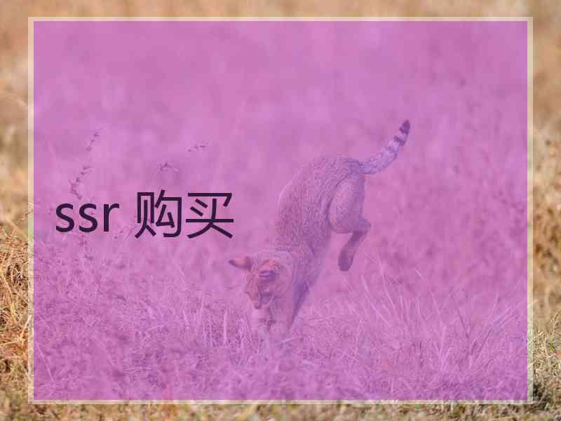 ssr 购买