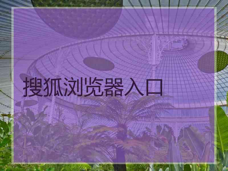 搜狐浏览器入口