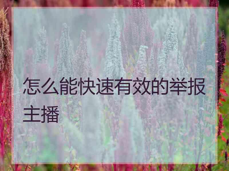 怎么能快速有效的举报主播