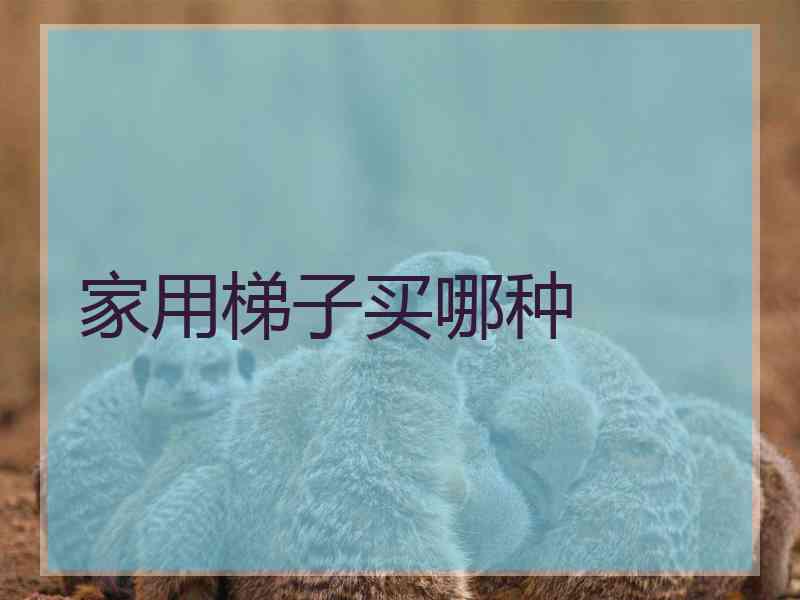 家用梯子买哪种