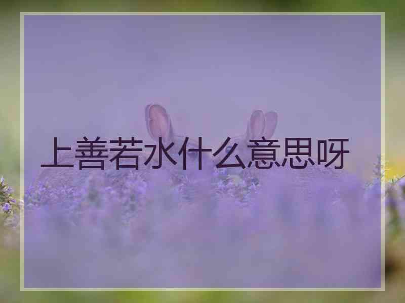 上善若水什么意思呀