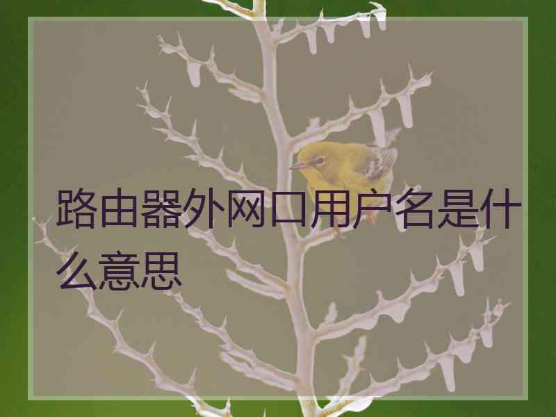 路由器外网口用户名是什么意思