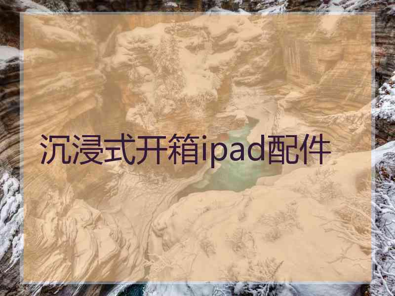 沉浸式开箱ipad配件