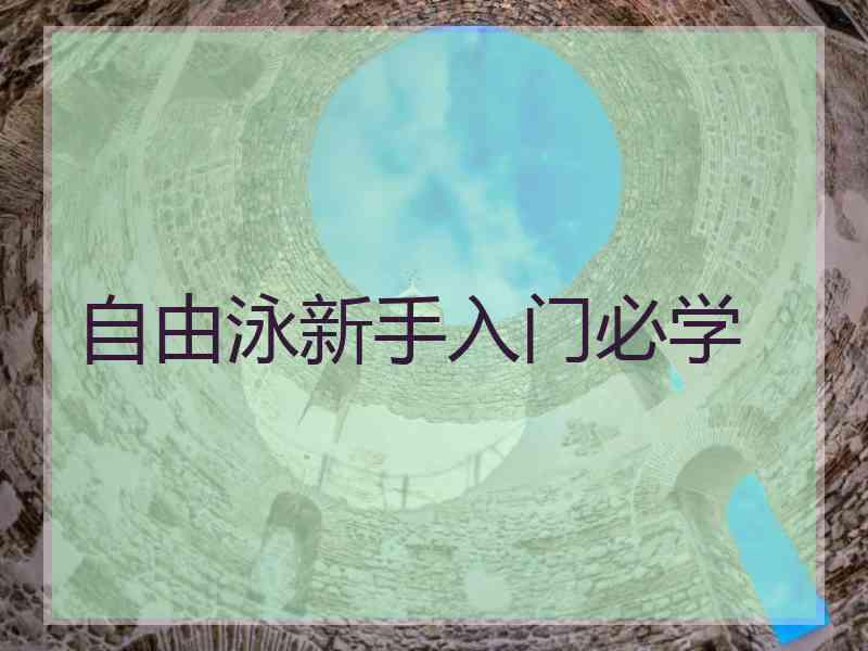 自由泳新手入门必学
