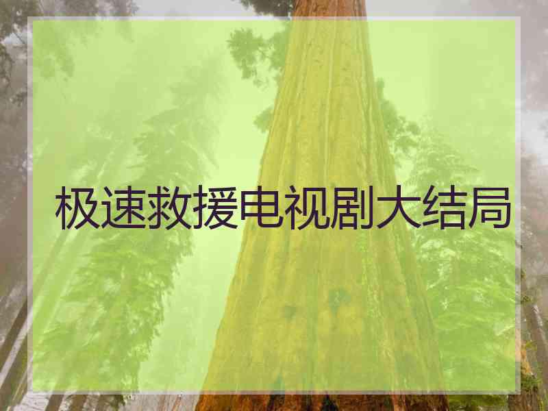 极速救援电视剧大结局