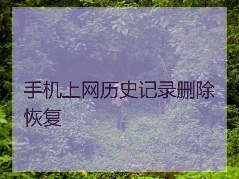 手机上网历史记录删除恢复