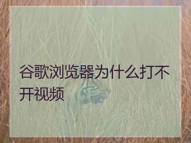 谷歌浏览器为什么打不开视频