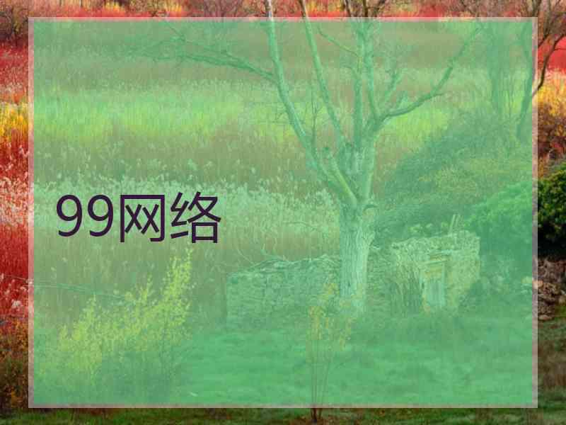 99网络