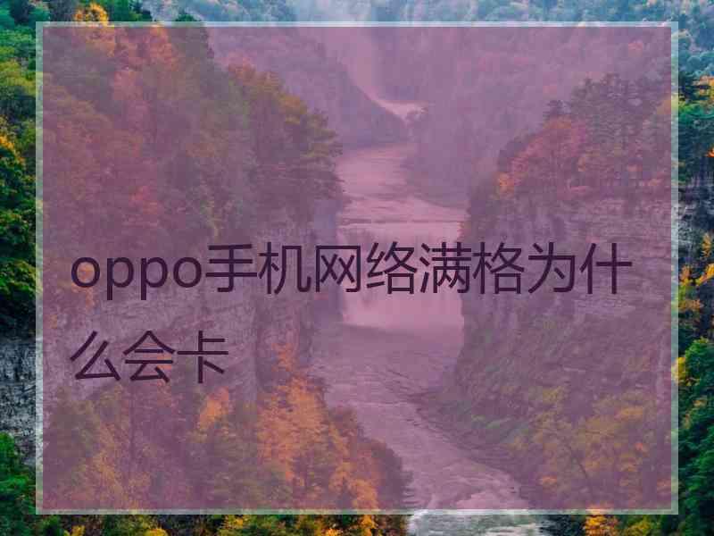 oppo手机网络满格为什么会卡