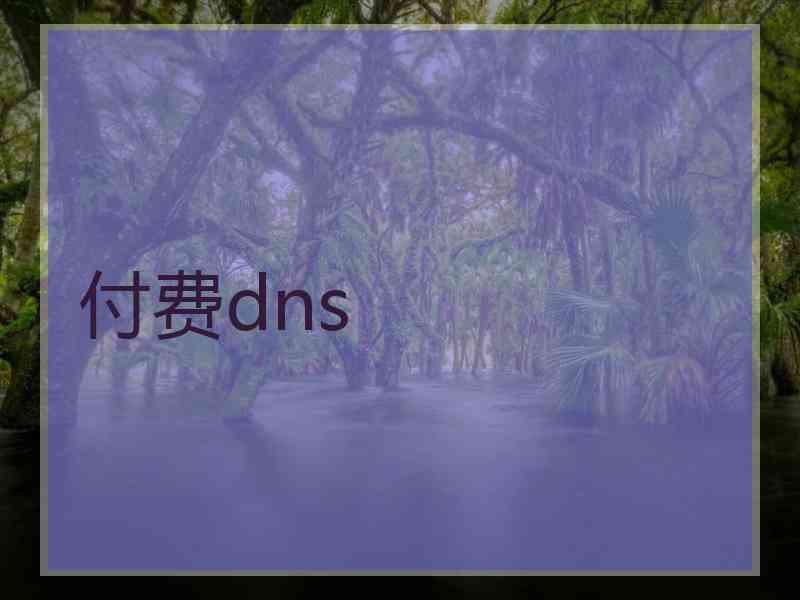 付费dns