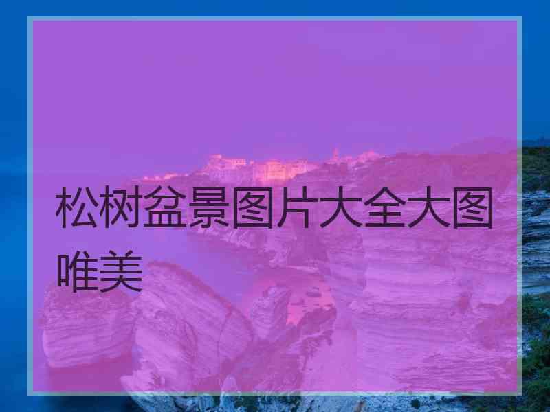 松树盆景图片大全大图唯美