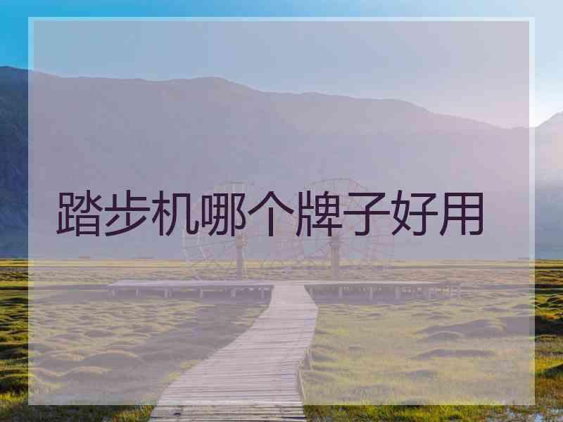 踏步机哪个牌子好用