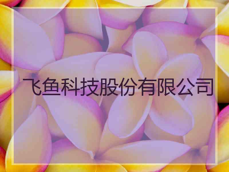 飞鱼科技股份有限公司