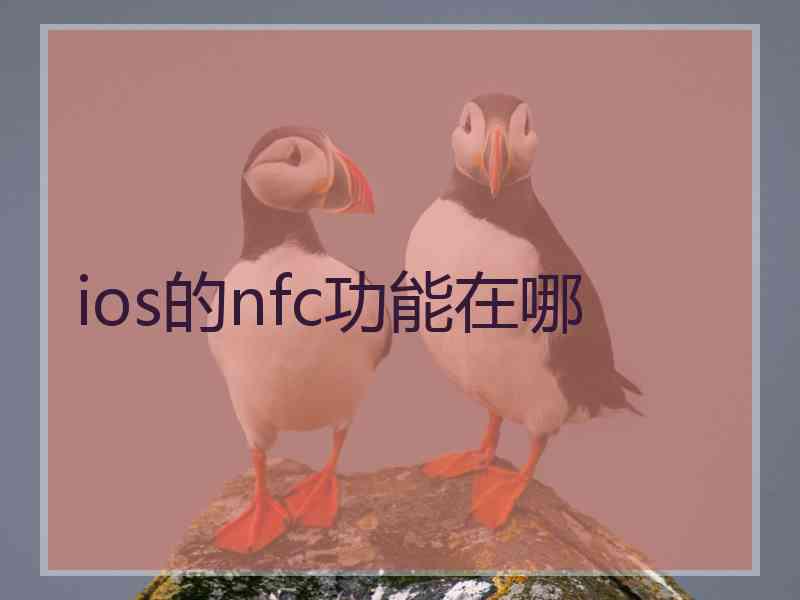 ios的nfc功能在哪