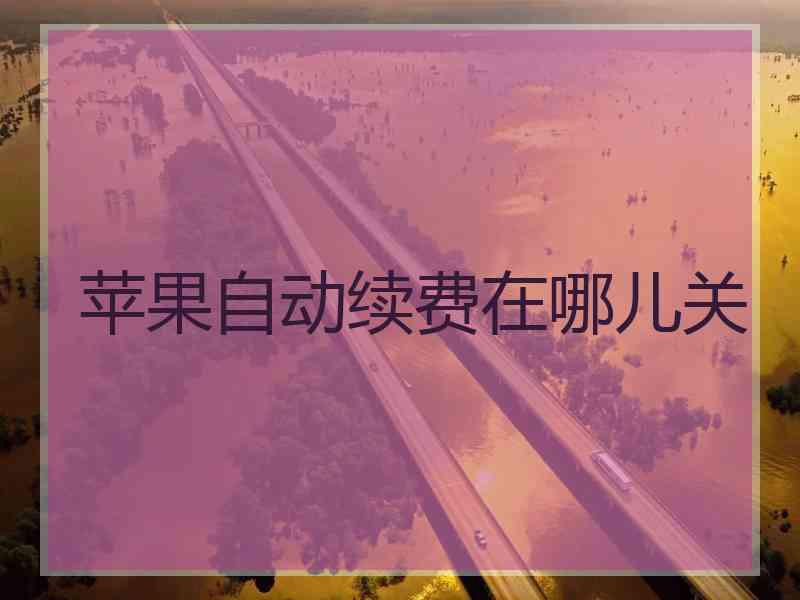 苹果自动续费在哪儿关