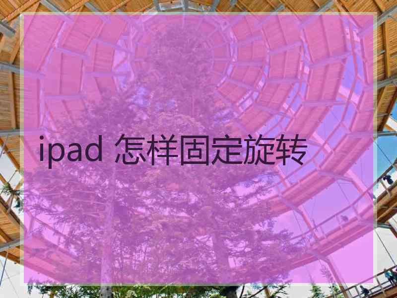 ipad 怎样固定旋转