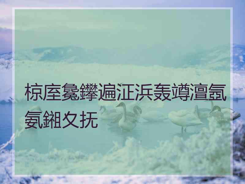椋庢毚鑻遍泟浜轰竴澶氬氨鎺夊抚