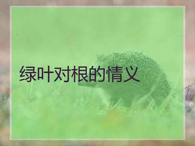 绿叶对根的情义