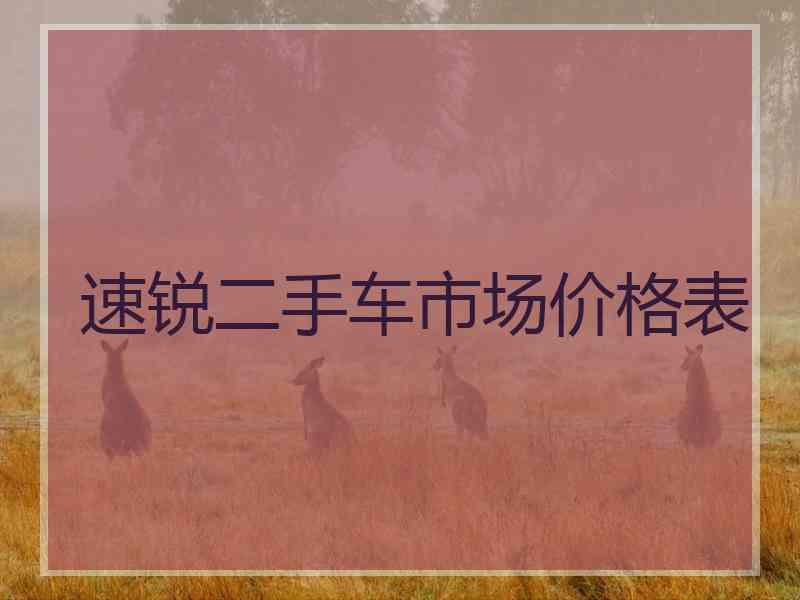 速锐二手车市场价格表