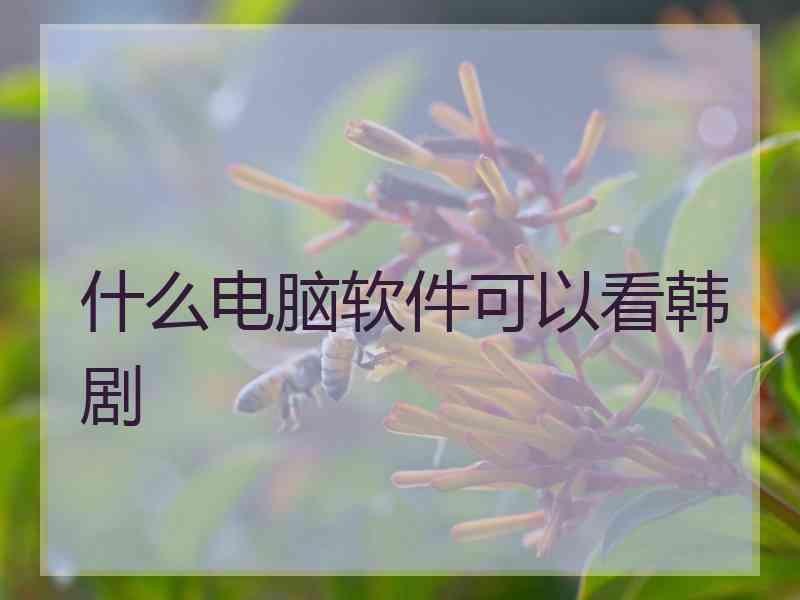 什么电脑软件可以看韩剧