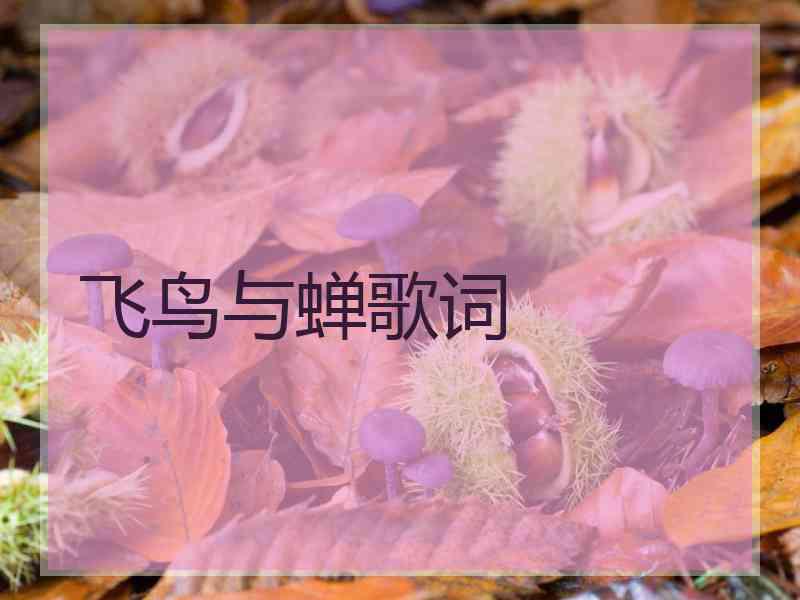 飞鸟与蝉歌词