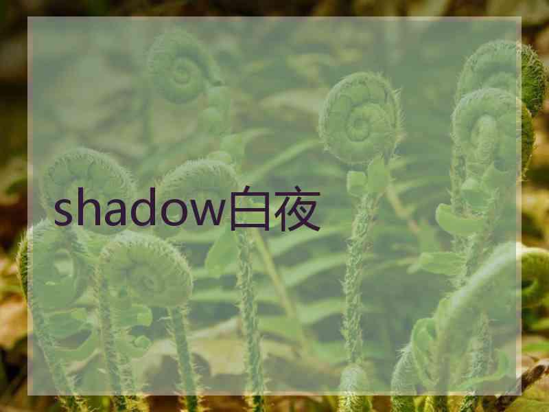 shadow白夜