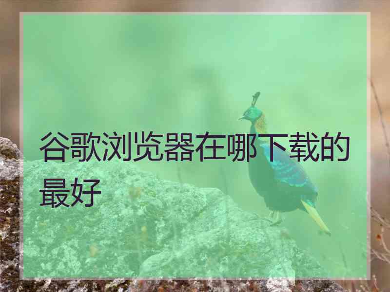 谷歌浏览器在哪下载的最好