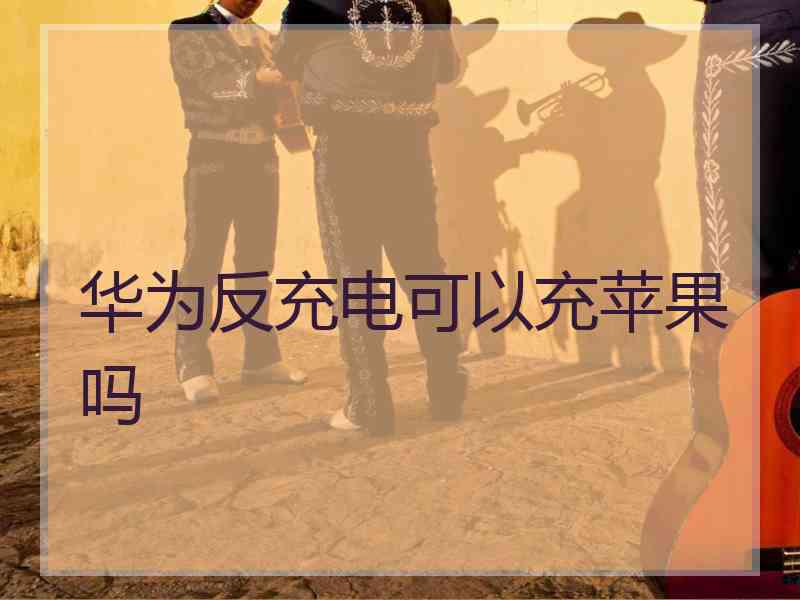 华为反充电可以充苹果吗