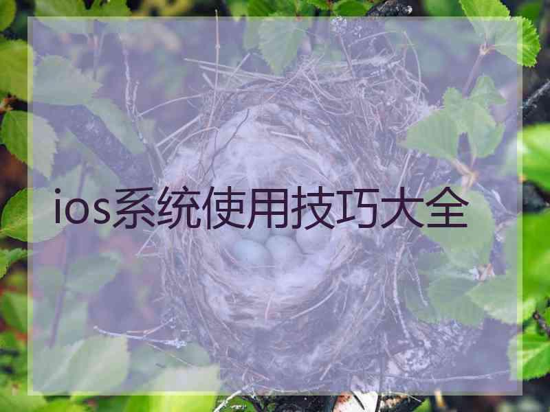 ios系统使用技巧大全