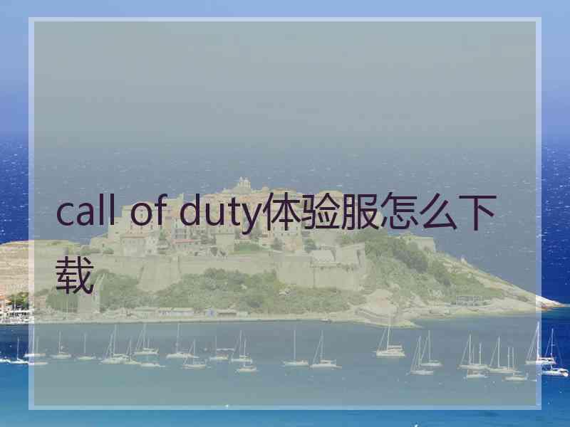 call of duty体验服怎么下载