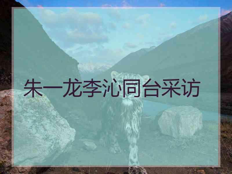 朱一龙李沁同台采访