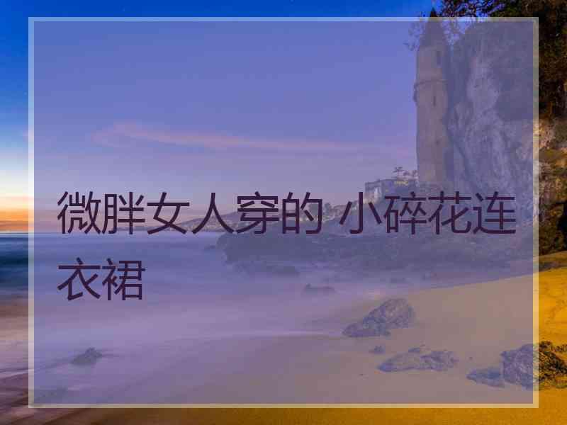 微胖女人穿的 小碎花连衣裙