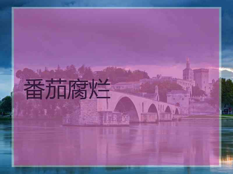 番茄腐烂