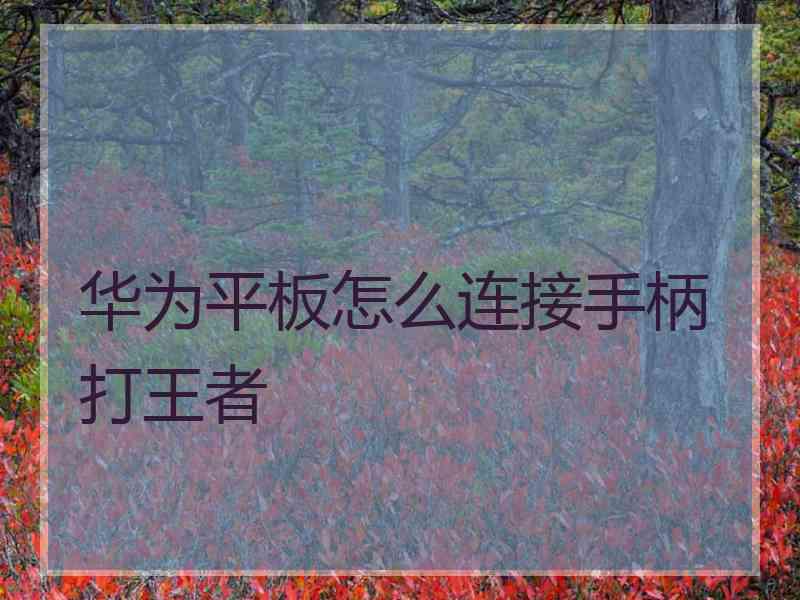 华为平板怎么连接手柄打王者