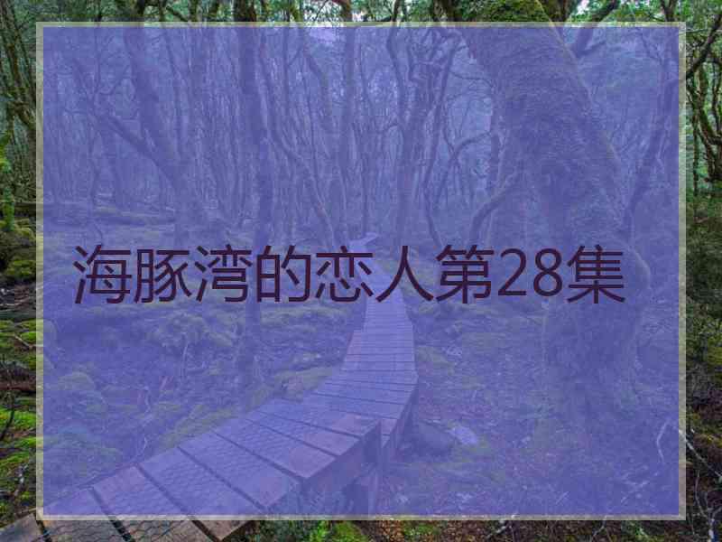 海豚湾的恋人第28集