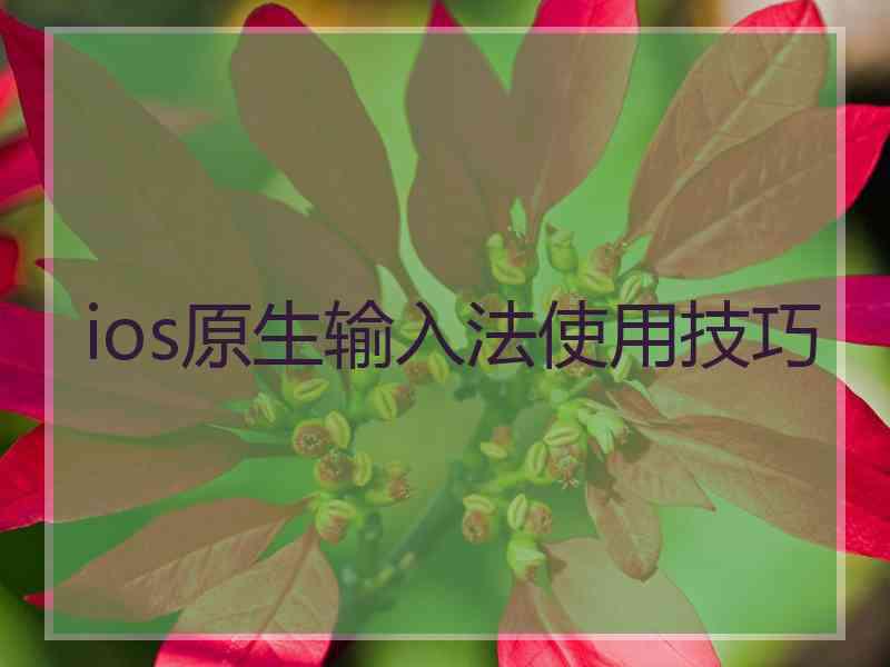 ios原生输入法使用技巧