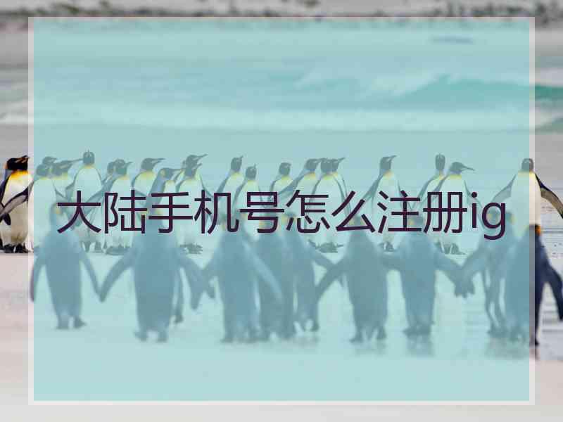 大陆手机号怎么注册ig