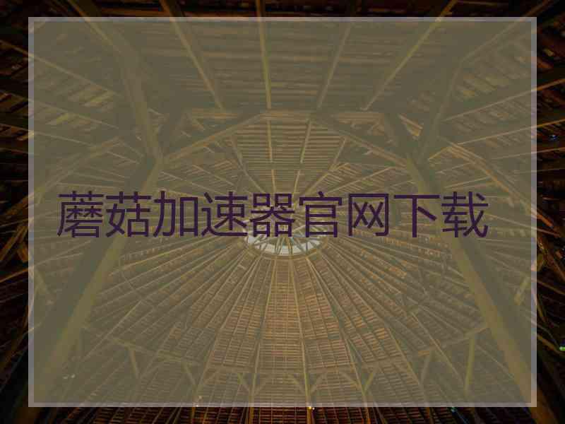 蘑菇加速器官网下载