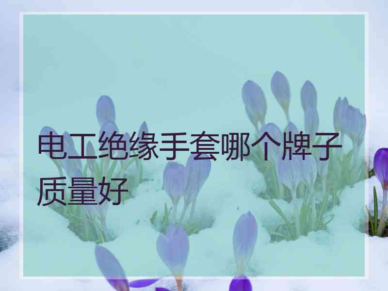 电工绝缘手套哪个牌子质量好