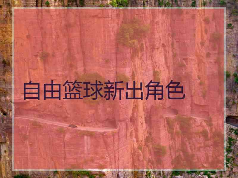 自由篮球新出角色