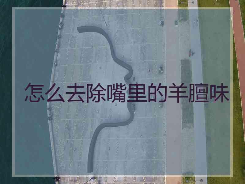 怎么去除嘴里的羊膻味