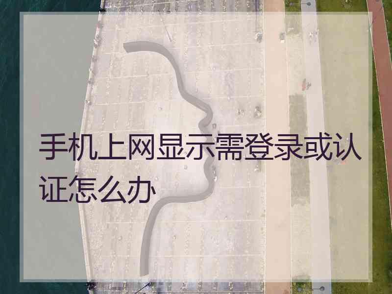 手机上网显示需登录或认证怎么办
