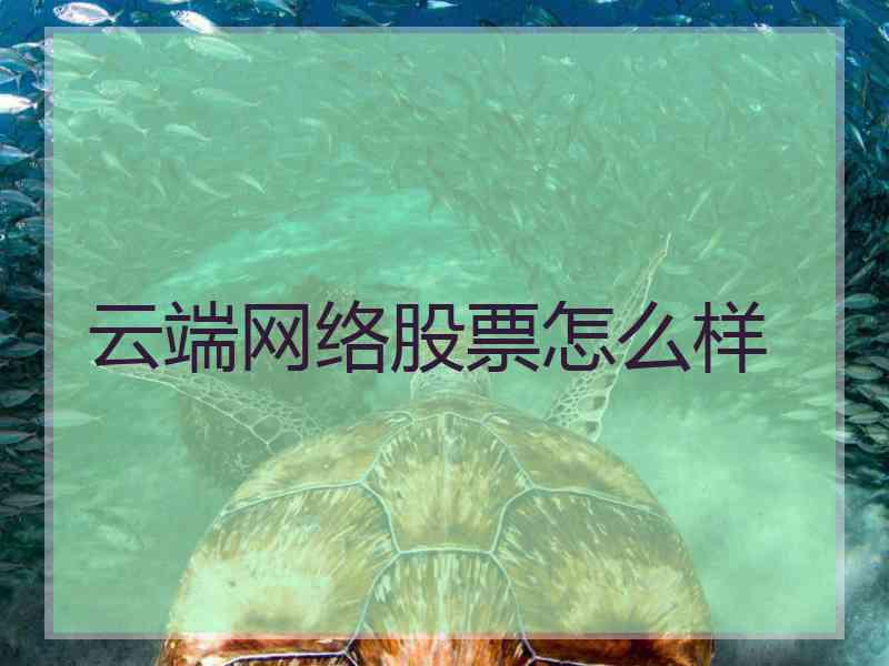 云端网络股票怎么样