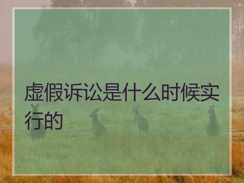 虚假诉讼是什么时候实行的