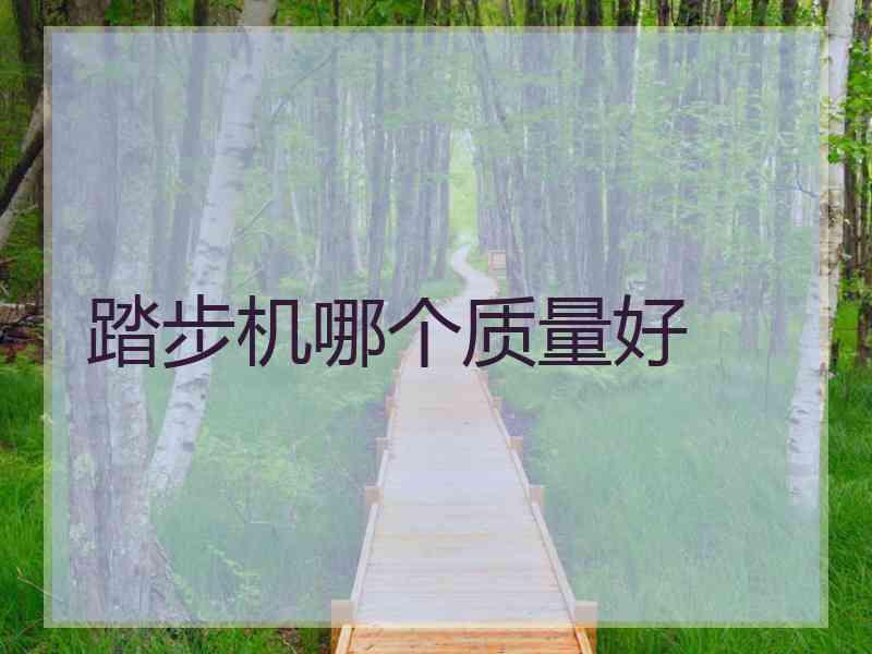 踏步机哪个质量好