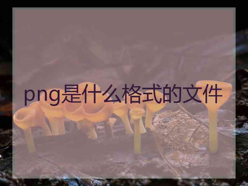 png是什么格式的文件