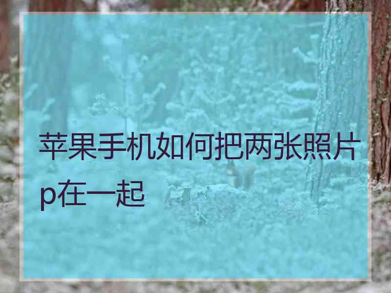苹果手机如何把两张照片p在一起