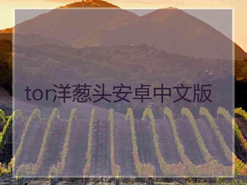 tor洋葱头安卓中文版